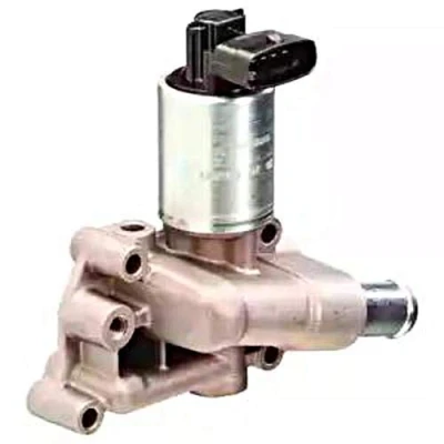 Bild av DELPHI EG10289 12B1 Vanne EGR avec joints OPEL: Corsa D 3/5 portes, Astra H Meriva A, VAUXHALL: Mk5 Sport Hatch, Tigra Mk2 TwinTop