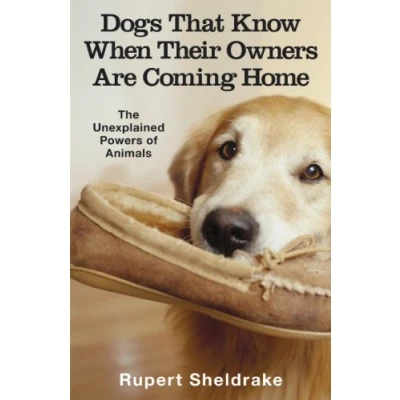 Bild av Dogs That Know When Their Owners Are Coming Home: And Other Unexplained Powers of Animals