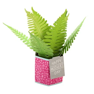 Bild av Hallmark mors dagskort, pop up växt &quot;Paper Wonder&quot; design