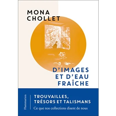 Bild av D&#039;images et d&#039;eau fraîche: Trouvailles, trésors talismans : ce que nos collections disent de nous