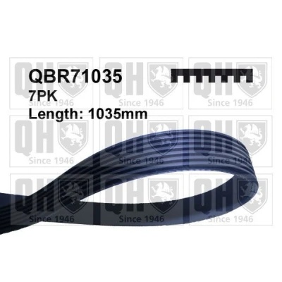 Bild av QUINTON HAZELL QBR71035 Courroie Poly V 1035 7 RENAULT: CLIO 3, TWINGO 2, Modus / Grand Modus, BMW: 8
