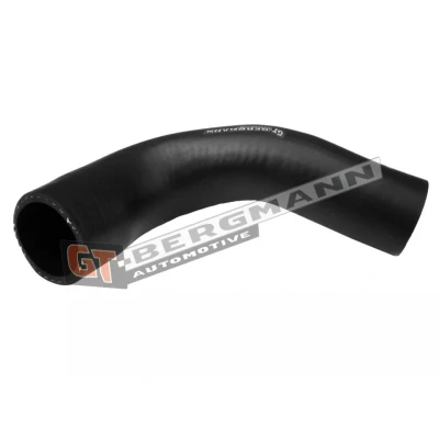 Bild av SASIC 3334045 Gaine De Suralimentation RENAULT: Modus / Grand Modus, CLIO 3