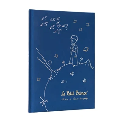 Bild av Grupo Erik The Little Prince Premium A5 Notebook Bullet Journal Notebooks Notepads Notepad Blank Plain Paper