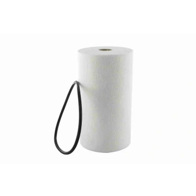 Bild av VAICO V25 0781 Filtre Boite Automatique Qualité originale