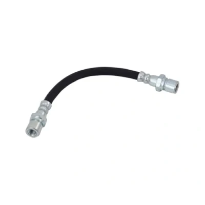 Bild av DELPHI LH2813 Flexible De Frein 233 M10x1 Int SF OPEL: Kadett E Cabriolet, Astra F CC, Omega A Berline, SAAB: 9 5 Break