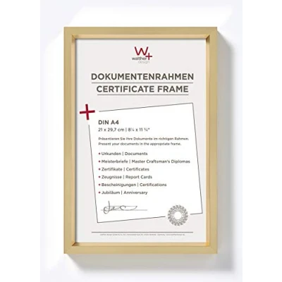 Bild av walther design tavelram guld 21 x 29,7 cm (DIN A4) med passepartout, Steel Style plastram ES130G