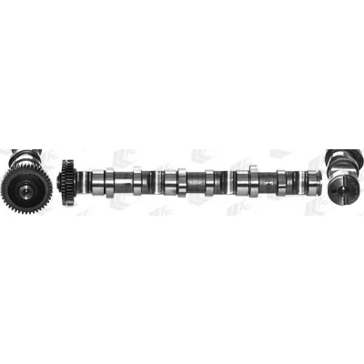 Bild av AE CAM937 Arbre à Cames pour cylindres 4 6, Côté d&#039;échappement AUDI: A4 B6/B7 Cabriolet, A6 C5 Berline, B6 Avant, VOLKSWAGEN: Passat B5 GP Berline