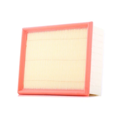Bild av Luftfilter FILTRON AP 080/7
