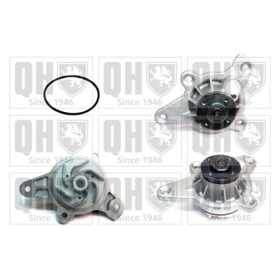 Bild av QUINTON HAZELL QCP3769 Pompe à eau VOLKSWAGEN: Touareg I, Passat B5 GP Break, Berline, AUDI: A8 D3