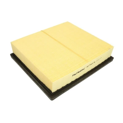 Bild av Luftfilter FILTRON AP 143/9