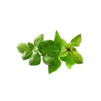 Bild av Click &amp; Grow and Smart Garden Refill 9 pack Basil Variety Mix
