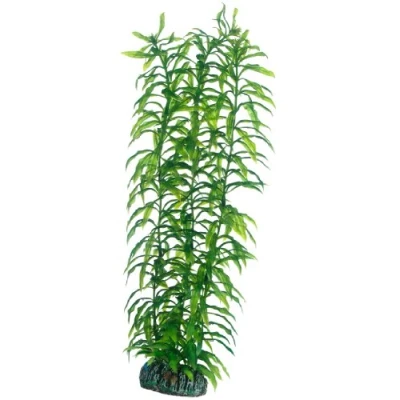 Bild av Hobby 51567 Heteranthera, 34 cm