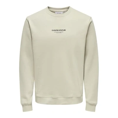 Bild av Endast &amp; SONS ONSCURATED REG Crew Neck Sweat, Silverfoder, S