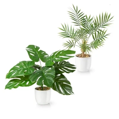 Bild av PASCH® Set med 2 monstera konstgjord och Areca konstpalm (35 cm) i vita keramiska krukor: konstgjorda växter som riktiga kruka falsk växt + palm