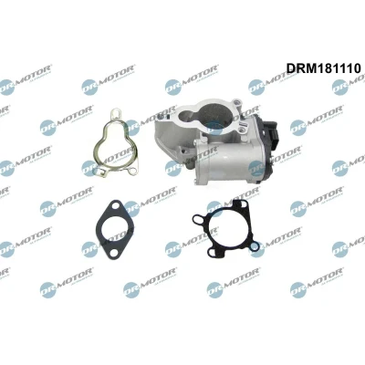 Bild av DR.MOTOR AUTOMOTIVE DRM181110 Vanne EGR électrique RENAULT: GRAND SCENIC 3, MEGANE 3 Coupe, MASTER Kasten, OPEL: Vivaro A Van