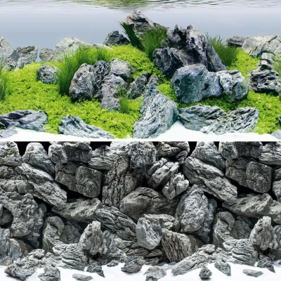 Bild av Juwel Poster 4 Aquascape / Stone S 60x30 cm
