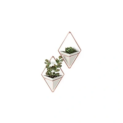Bild av Umbra 470753 633 Väggkruka, Blomsterampel för väggfästning, Grå/Koppar, 23.5 x 16 11.51 cm, Paket med 2