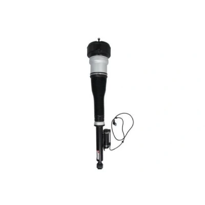 Bild av Luftfjäderben Magnum technology APM014MT