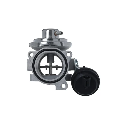 Bild av VALEO 703268 EGR ventil pneumatisk utan avgasåterförings kylare, med packningar VOLKSWAGEN: Polo IV Hatchback, SKODA: Fabia 1 Combi