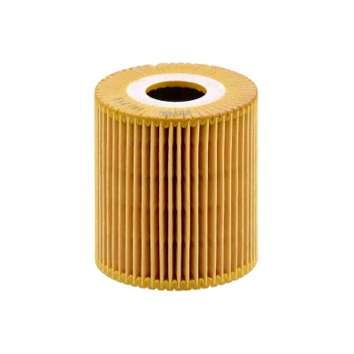 Bild av Oljefilter MANN FILTER HU 819 x