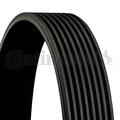 Bild av CONTITECH 8PK1162 EXTRA Courroie Poly V 1162 8 BMW: 3 Berline, 5 Berline