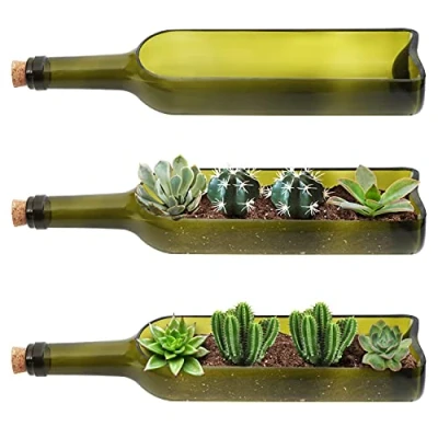 Bild av Belle Vous 3 Pack Glasvinflaska Suckulent Planteringskruka L32 x B7,1 cm Ovalt Skuren Öppning För Växter, Blommor, Kaktusar, Bambu, Trädgården, Terrarium &amp; DIY Dekoration