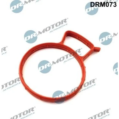 Bild av DR.MOTOR AUTOMOTIVE DRM073 Joint Collecteur d&#039;Admission FORD: Focus Mk1 3/5 portes, FIESTA 4, Break