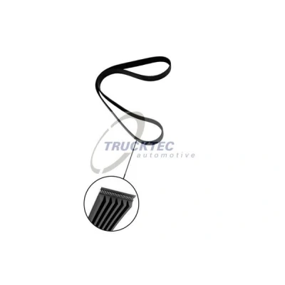 Bild av TRUCKTEC AUTOMOTIVE 07.19.131 Courroie Poly V 1125 6 RENAULT: CLIO 2, MASTER 2 Kasten, Kangoo I, PEUGEOT: 307 3/5 portes, Break, SW