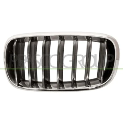 Bild av BLIC 6502 07 00969911P Calandre avant gauche chrome, noir BMW: X5, X6