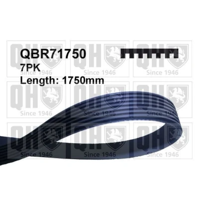 Bild av QUINTON HAZELL QBR71750 Courroie Poly V 1750 7 NISSAN: NP300 Navara Pick up, Pathfinder 3, Cabstar, HONDA: CR Accord Limousine, Tourer