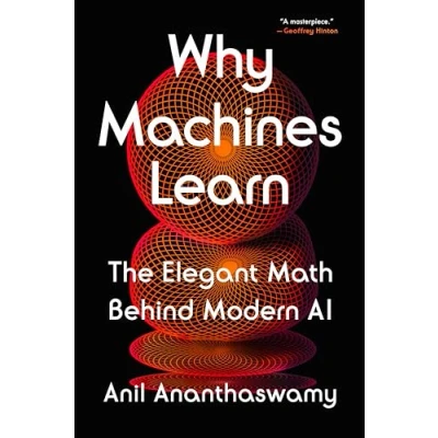 Bild av Why Machines Learn: The Elegant Math Behind Modern AI