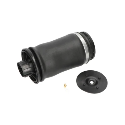 Bild av Luftfjäder, hjulupphängning Kavo parts SAS 10010