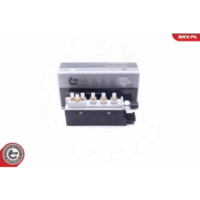Bild av ESEN SKV 93SKV802 Valve, système d&#039;air comprimé