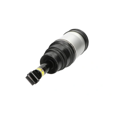 Bild av Luftfjäderben Kavo parts SAS 10020