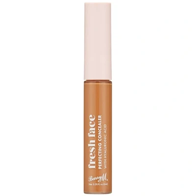 Bild av Barry M Fresh Face Perfecting Concealer 11 7 ml