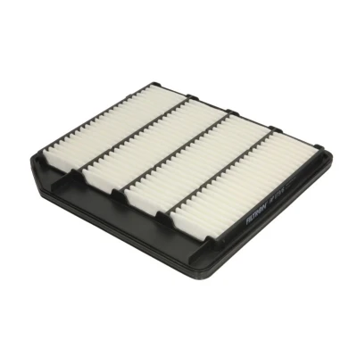 Bild av Luftfilter FILTRON AP 173/6