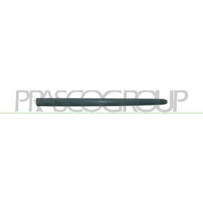 Bild av PRASCO PG0091403 Dörrlister PEUGEOT: 206 SW (2E/K) 1.4 16V, 1.6 HDi 110, 1.1, 1.4, 2.0 HDi, 2002 2007