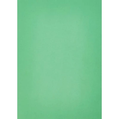 Bild av House of Card &amp; Paper A4 80 GSM färgat papper ljusgrön (paket med 50 ark), HCP59