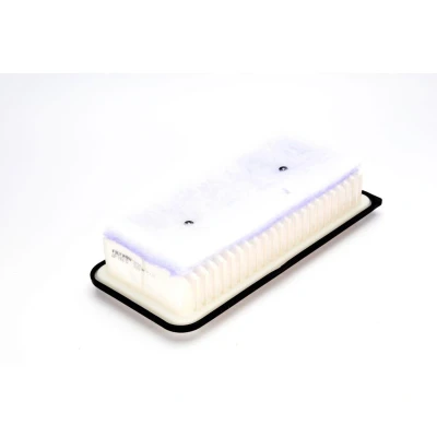 Bild av Luftfilter FILTRON AP 142/8