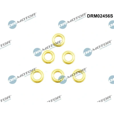 Bild av DR.MOTOR AUTOMOTIVE DRM02456S Ecran absorbant la chaleur, injection RENAULT: CLIO 2, Kangoo I, I Express, BMW: 5 Berline, 3 Touring