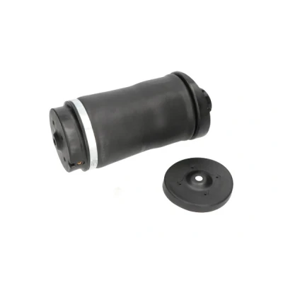 Bild av Luftfjäder, hjulupphängning Kavo parts SAS 10018
