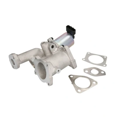 Bild av Egr Ventil Delphi EG10460 12B1