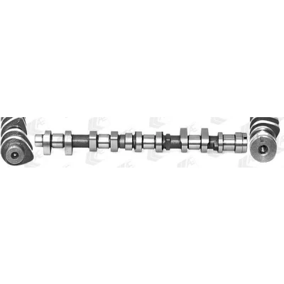 Bild av AE CAM960 Arbre à Cames Côté d&#039;échappement CITROËN: C2 3/5 portes, Berlingo II, C3 I PEUGEOT: 207 206 portes