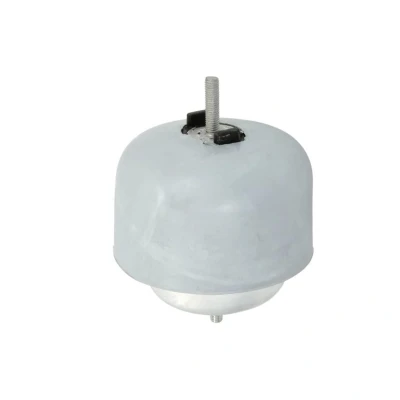 Bild av Motormontering Reinhoch RH11 0119