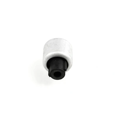Bild av SKF VKDS 338543 Silent Bloc De Triangle BMW: 1 5 portes, 3 Berline, Touring