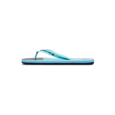 Bild av Quiksilver Molokai Stripe 25 Badsandaler, Storlek: 45, Bqv Konstmaterial