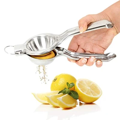 Bild av GOURMEO manuell citruspress i rostfritt stål citronpress mexikansk rostfri armbåge