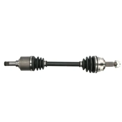 Bild av Drivaxel PASCAL G2F029PC
