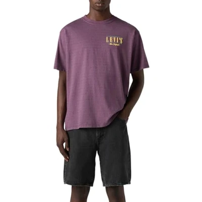 Bild av Levi&#039;s Vintage FIT Graphic TEE Tshirt med print, Storlek: XS, Grey/violet