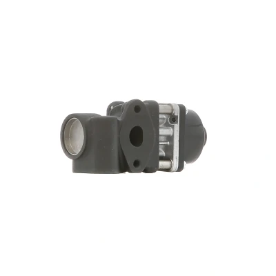 Bild av DELPHI EG10454 12B1 Vanne EGR SUZUKI: Grand Vitara 2 SUV, Jimny SX4 I 5 portes, FIAT: Sedici